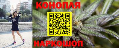 PSILOCYBIN Новозыбков