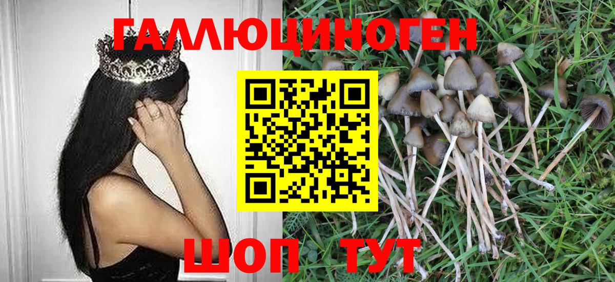 Галлюциногенные грибы ЛСД  Вход с VPN  Топки 